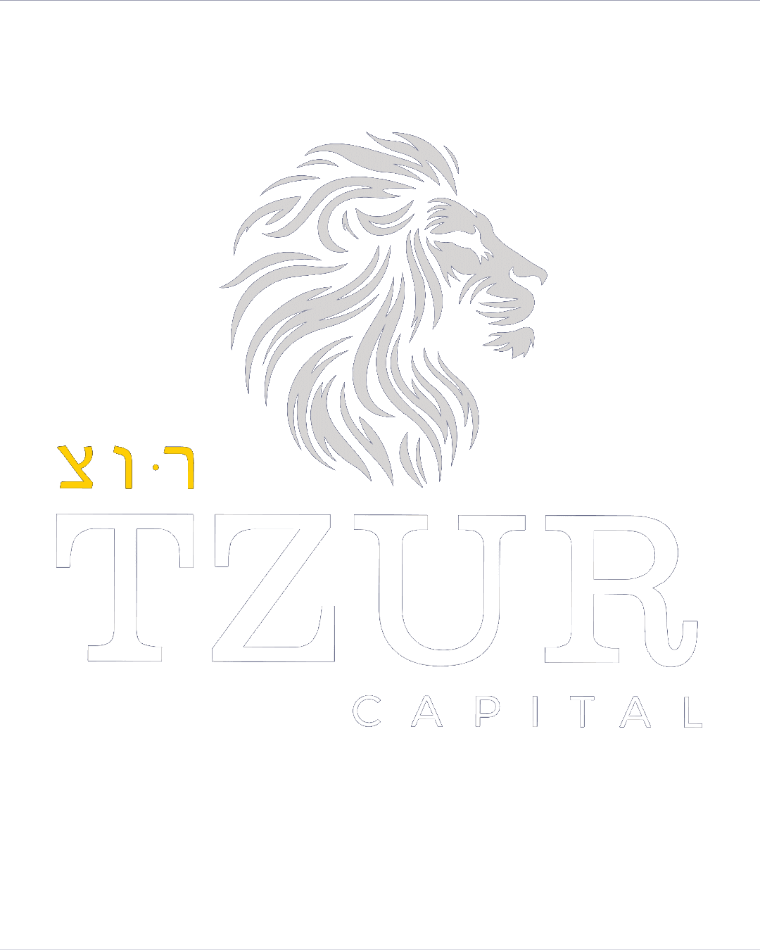 TZUR Capital